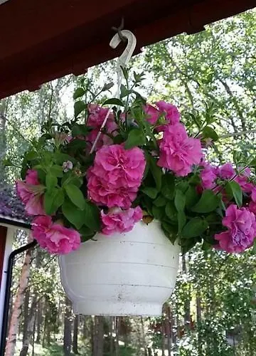 Σπίτι διακοπών 